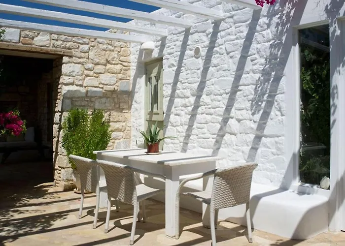 Joy In Ampelas Paros *