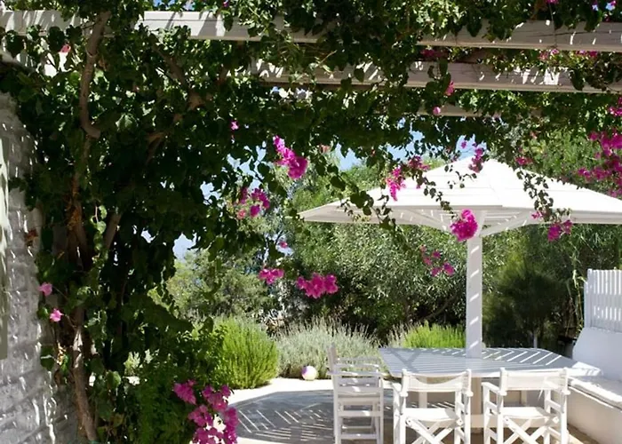 Joy In Ampelas Paros Villa Isterni (Paros)