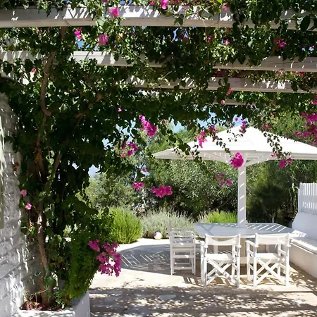 Joy In Ampelas Paros Villa Isterni (Paros)