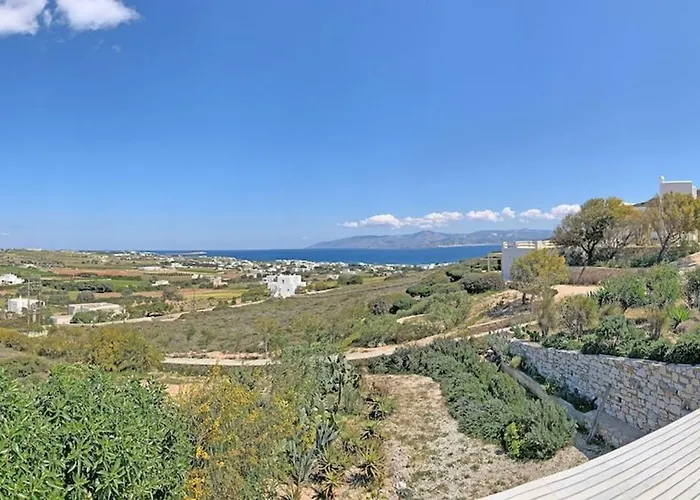 Joy In Ampelas Paros Villa